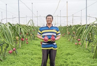 農友陳章信種植有機火龍果和無毒蜜棗檸檬