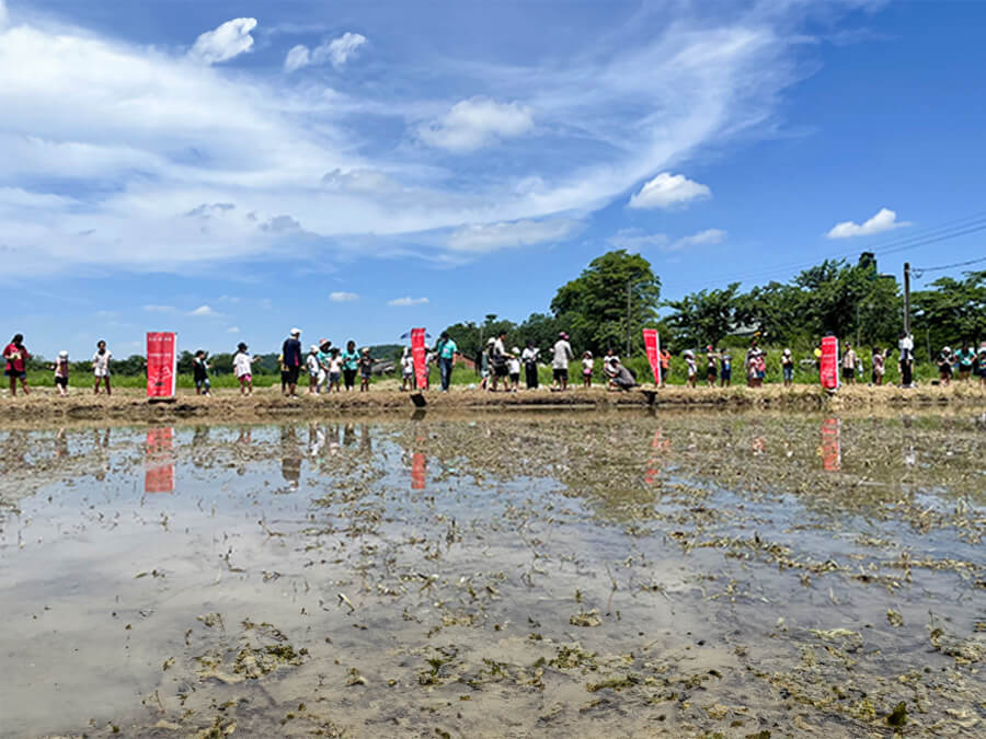 雷科攜手中山大學辦理鳳林國小向日葵活力營種夏活動