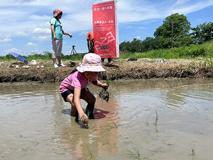 雷科攜手中山大學辦理鳳林國小向日葵活力營種夏活動
