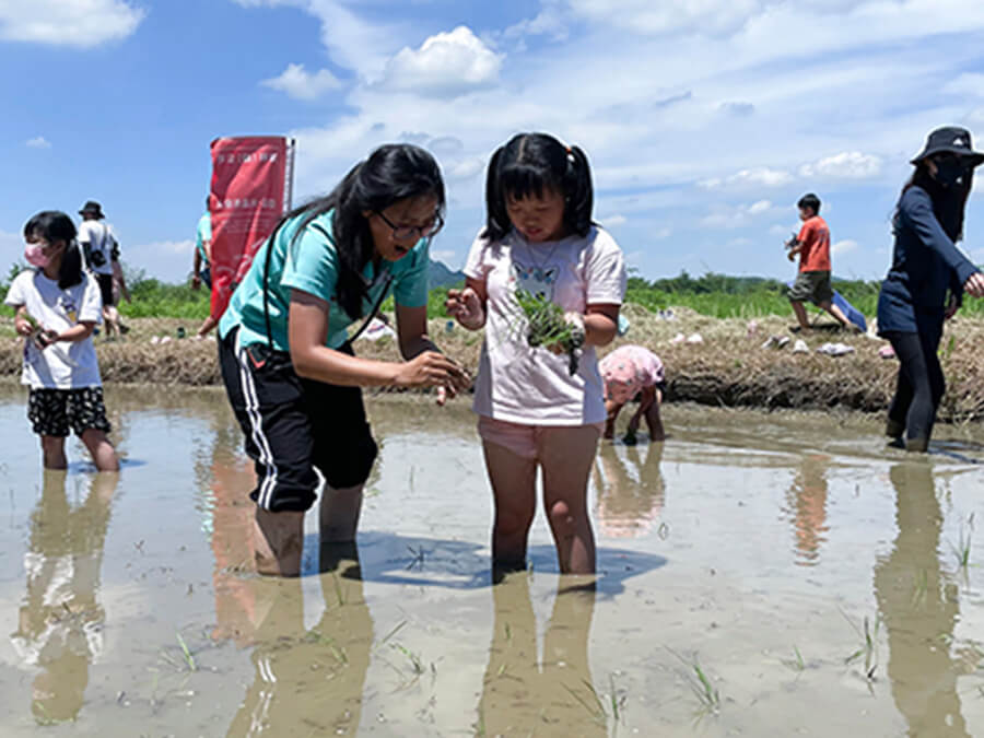 雷科攜手中山大學辦理鳳林國小向日葵活力營種夏活動