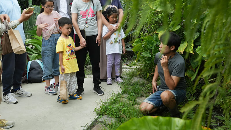 透過幼蟲視角一同成為螢河領航員。