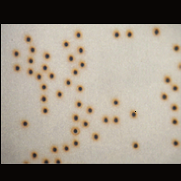 2D Barcode marking